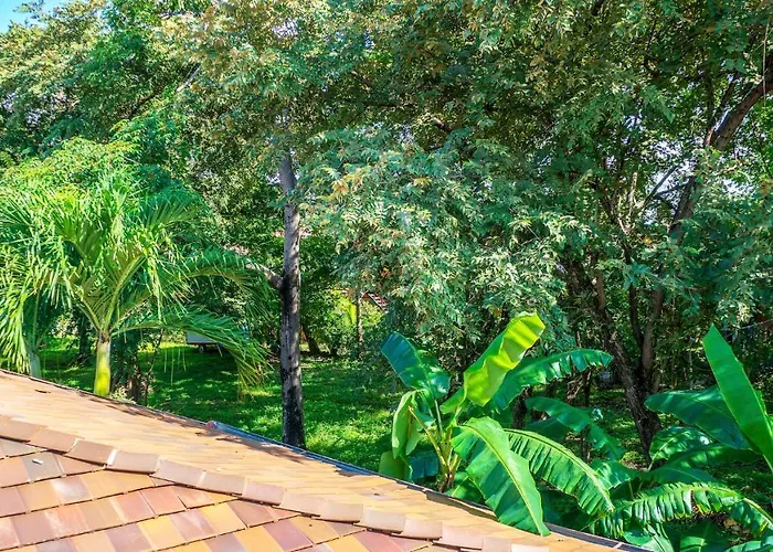 Cw2 Casa Wasabi 2bed+1bath Villa Tamarindo
